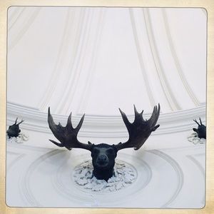 Meet your Posher, Homaira